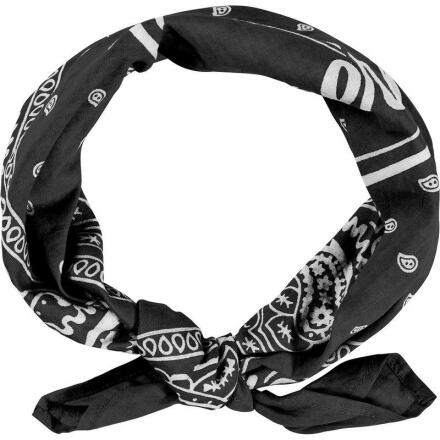 Paisley scarf